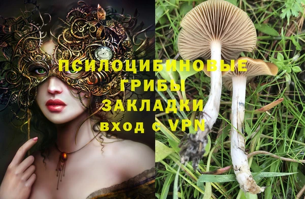 шишки Белокуриха