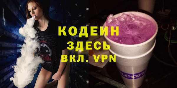 шишки Белокуриха
