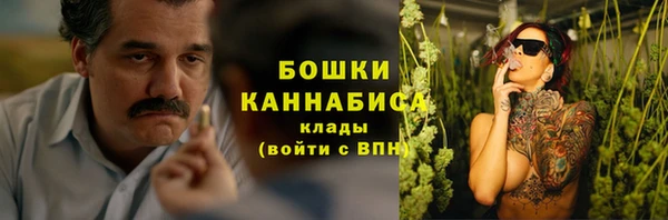 шишки Белокуриха