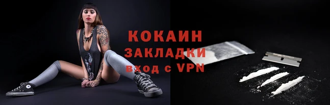 шишки Белокуриха