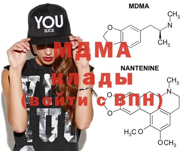 шишки Белокуриха
