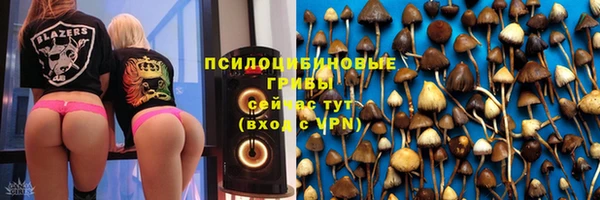 шишки Белокуриха