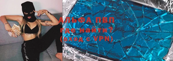 шишки Белокуриха