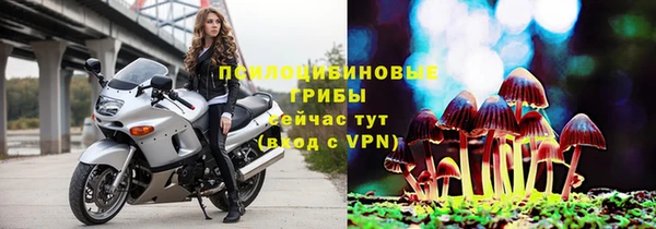 СК Слюдянка
