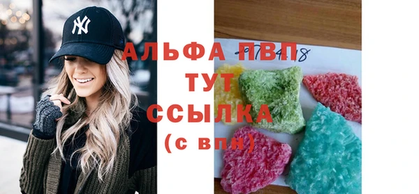 шишки Белокуриха