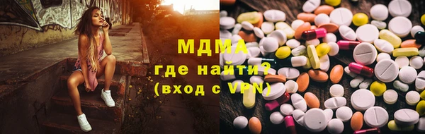 шишки Белокуриха