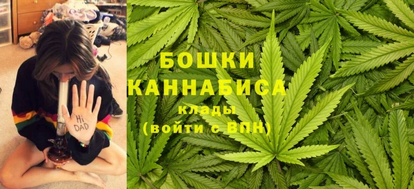 шишки Белокуриха